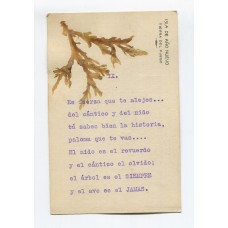 ANTARTIDA ARGENTINA 1902 TARJETA POSTAL ISLA DE AÑO NUEVO TIERRA DEL FUEGO CONFECCIONADA CON ALGAS, HUBO ALLI VARIAS EXPEDICIONES CIENTIFICAS FECHA TENTATIVA